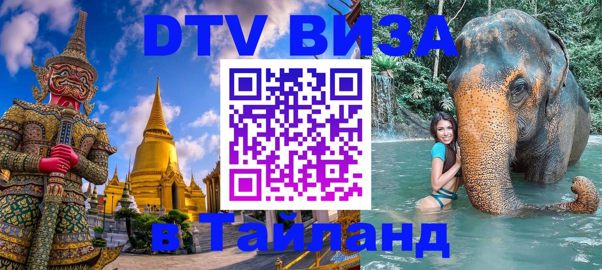 Оформление DTV визы под ключ: стоимость и тарифы, только загранпаспорт - Анкара  21.11.2025 